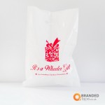 Exhibition-and-Event-Printed-Bags-027